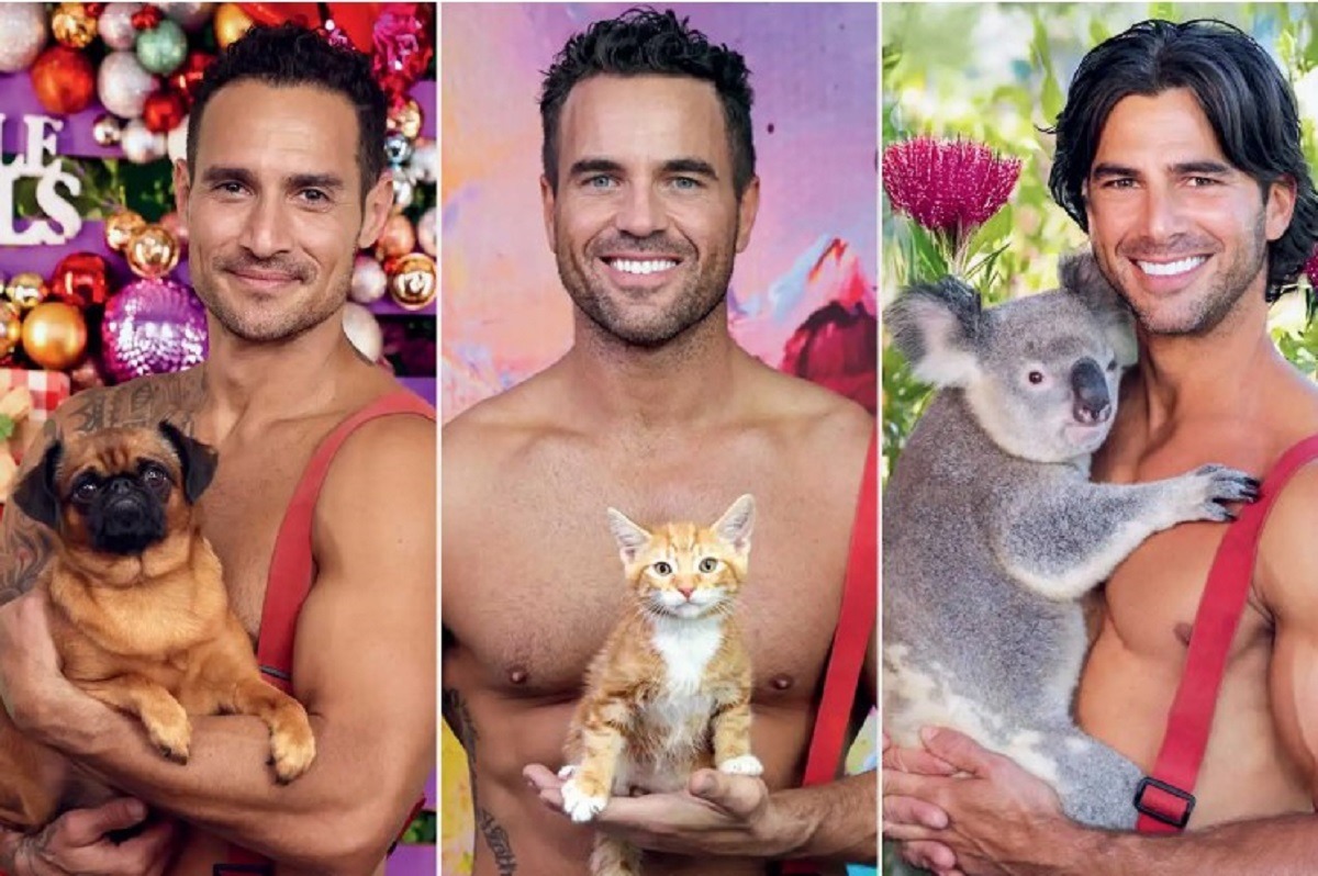 calendar 2026 cu animale