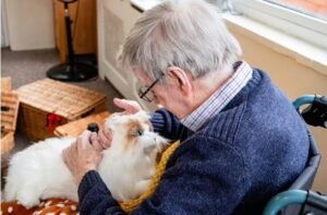 batrnul in scaun cu rotile mangaie o pisica robot