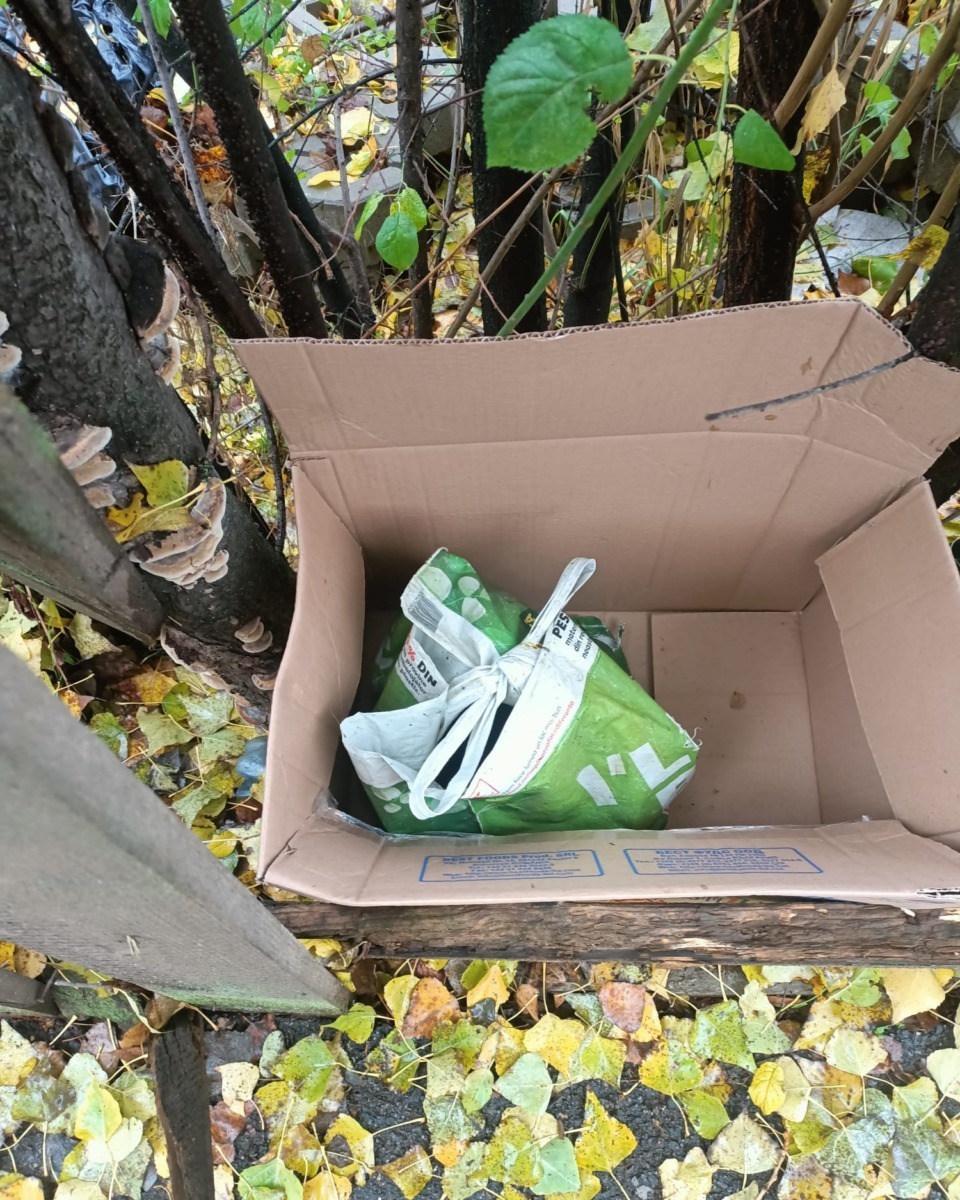 aspa-10-catelusi-salvati-punga