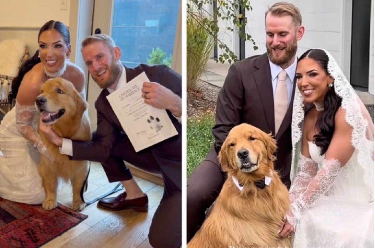 avocata si cainele ei