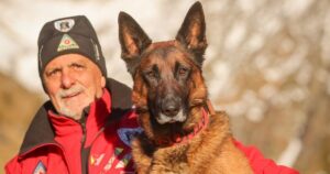 cainele salvamont Athos