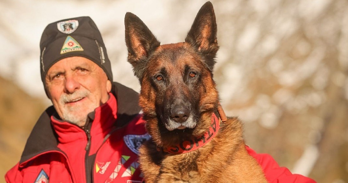 cainele salvamont Athos