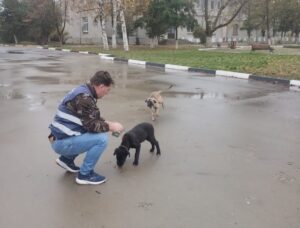 Un reprezentant ASPA București se apropie de câțiva câini abandonați pe o stradă