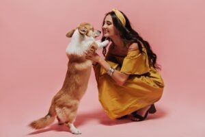 moment de afectiune intre stapana si caine