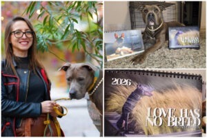 Colaj cu Beatrice Chirilă, Azera și calendarul caritabil