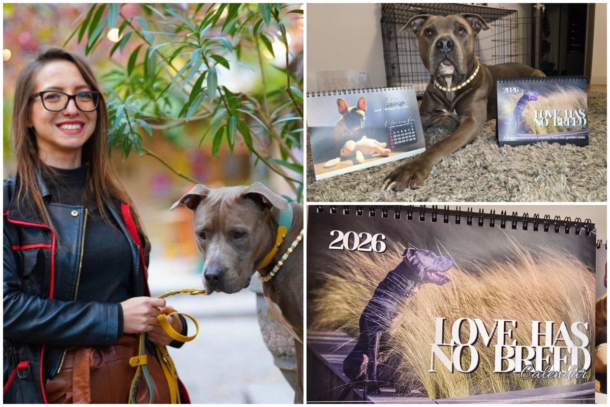 Colaj cu Beatrice Chirilă, Azera și calendarul caritabil