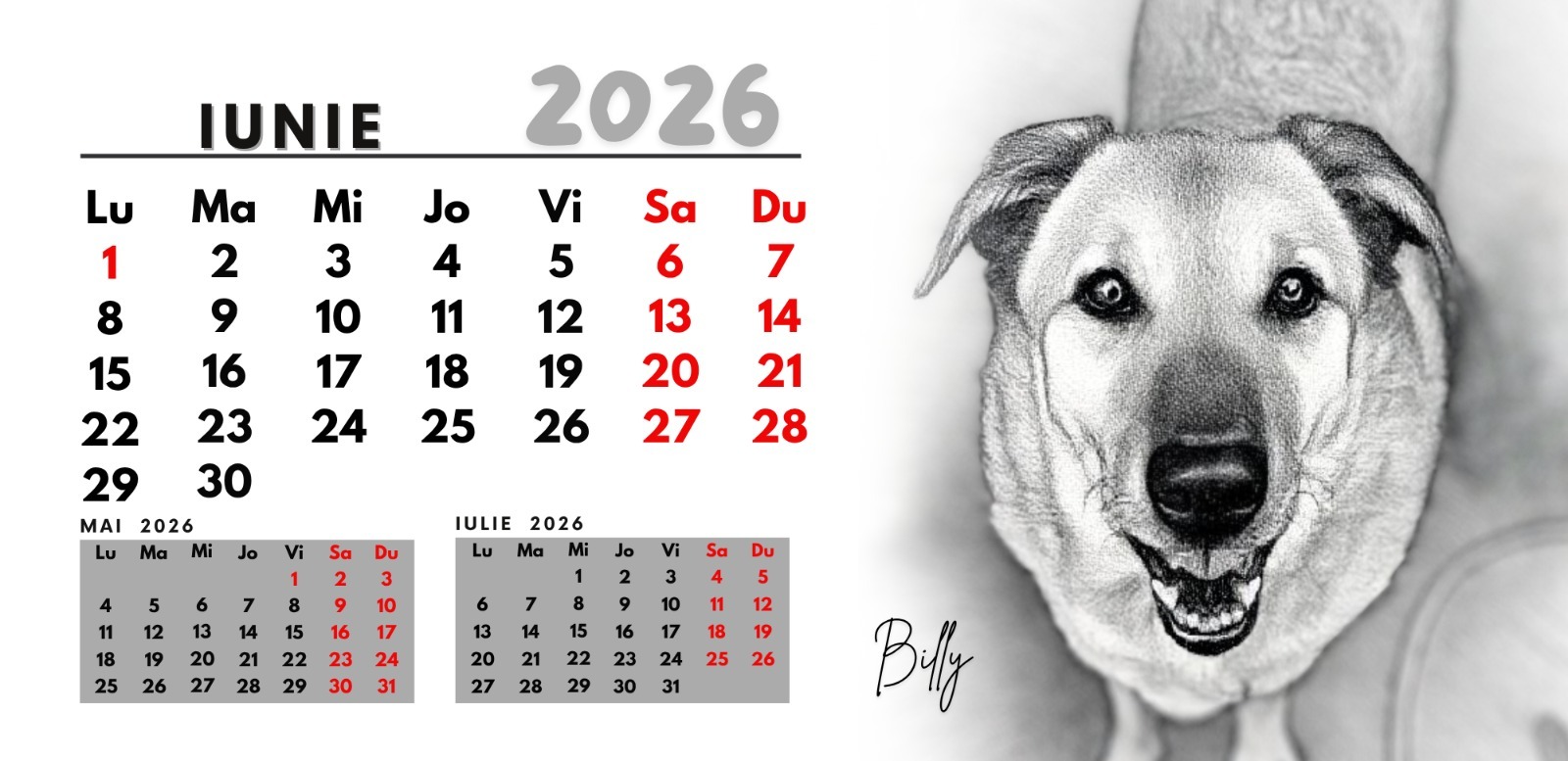 calendar-happy-tails-2026 (6)