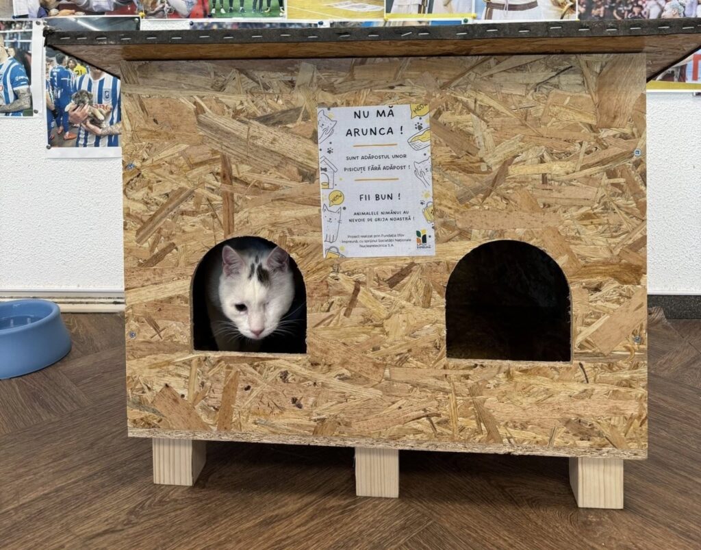 Căsuță pentru pisici