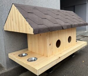 casuta-pisici-suceava