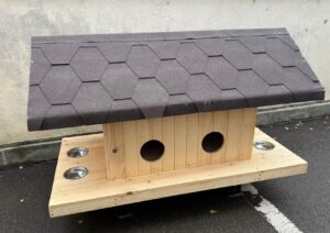 casuta-pisici-suceava1