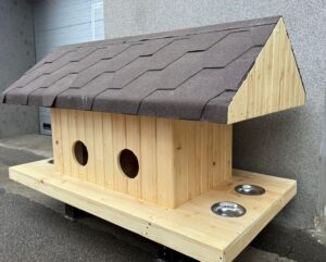 casuta-pisici-suceava2