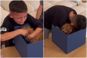 Colaj cu Logan în lacrimi, când vede pentru prima oara cățelul maltipoo