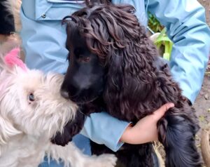 Cățelușa Katya, alături de un alt câine