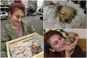 Colaj cu cățelusa salvata si actrita Laila Hafiz