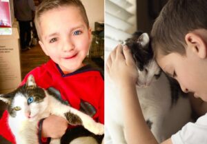 baietelul si pisica lui