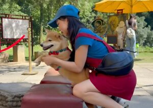 O tânără din China îșu duce câinele la templu