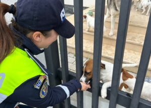 O polițistă mângâie un câine printr-un gard