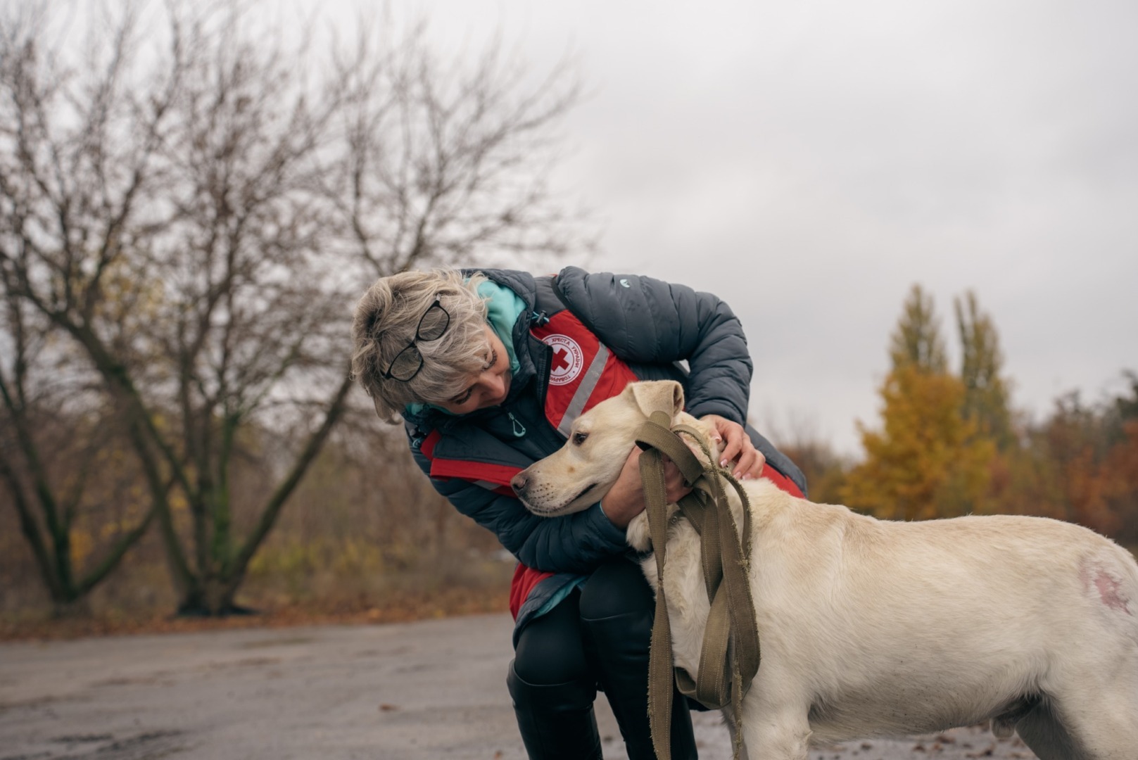 O voluntară de la Cruceca Roșie Ucraina mângâie un câine