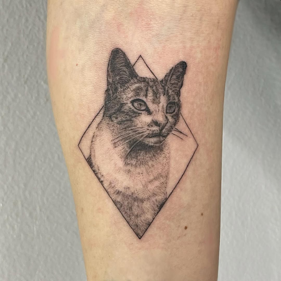 downloadgram.org_482231667_18377963044188575_1938934679247196070_n