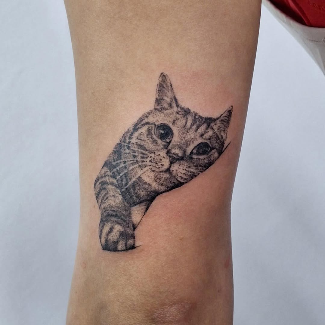 downloadgram.org_486667189_18381020983188575_1616539378551926819_n