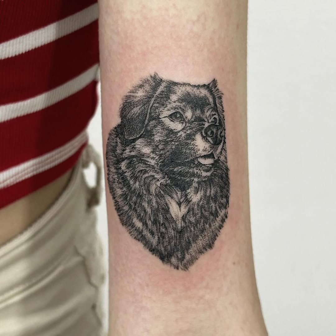 downloadgram.org_489632994_18382503286188575_8546973666677983229_n