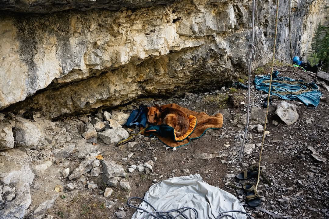 downloadgram.org_569227677_18081588569010271_6642715064533521790_n