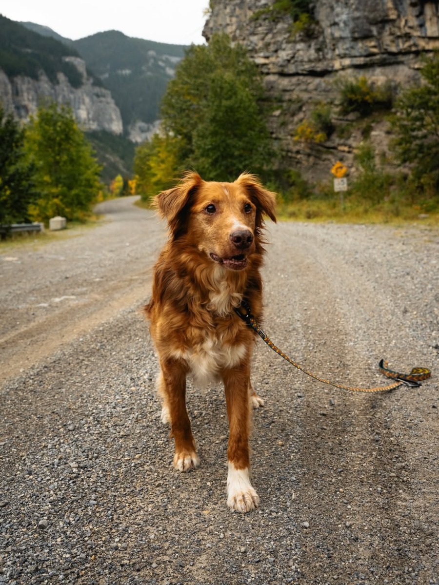 downloadgram.org_569936618_18081588587010271_3503590538247920212_n