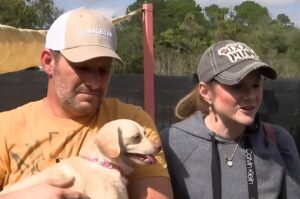 Câine ținut în brațe de stăpâni