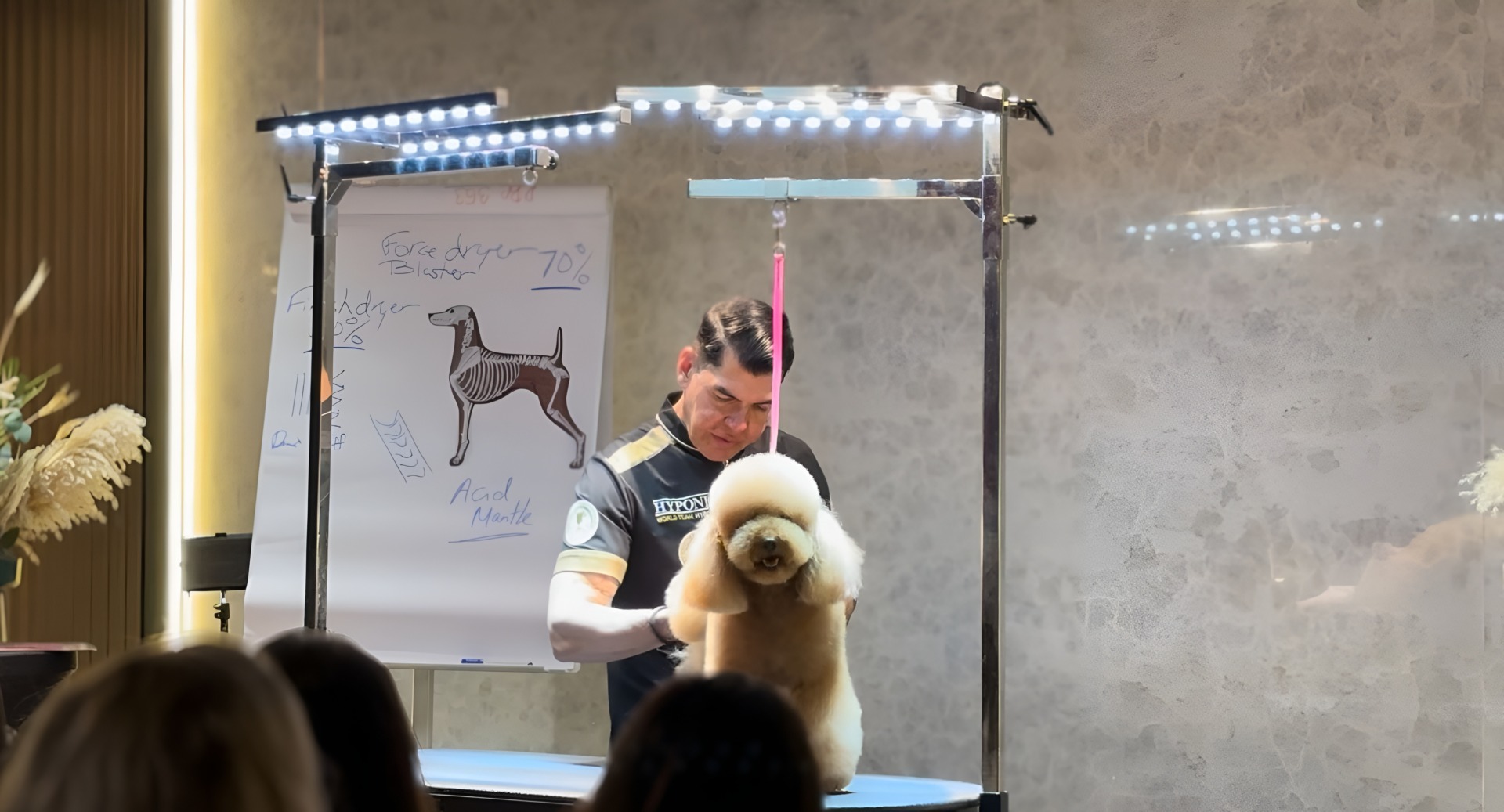 Grooming Artist Show 2025