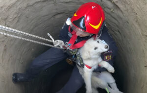 Un pompier scoate un câine blocat într-un puț