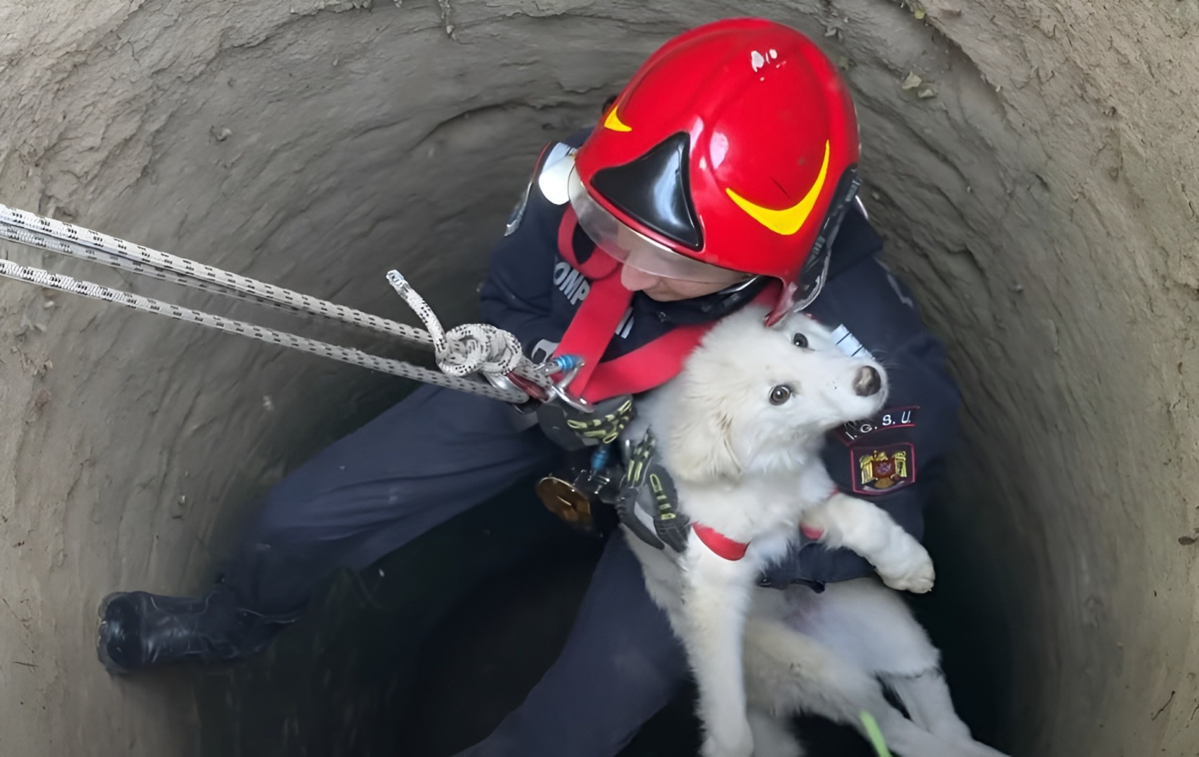 Un pompier scoate un câine blocat într-un puț