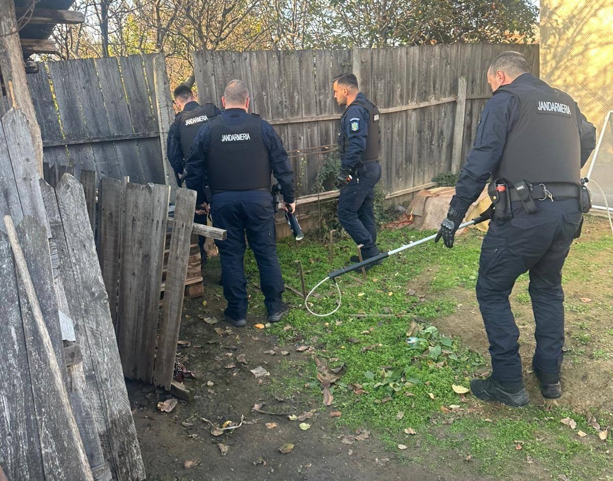 Jandarmii din Galați capturează câini agresivi