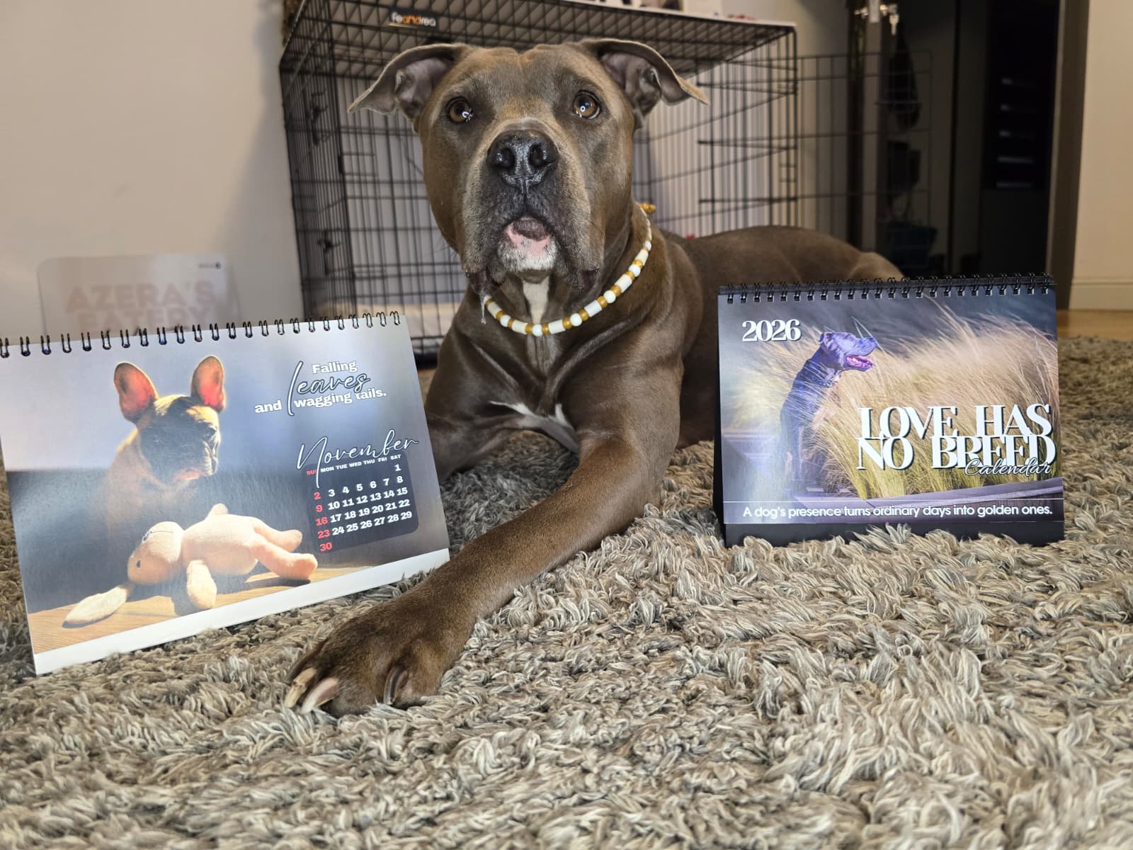 lady-azera-love-has-no-breed-beatrice-chirila (1)