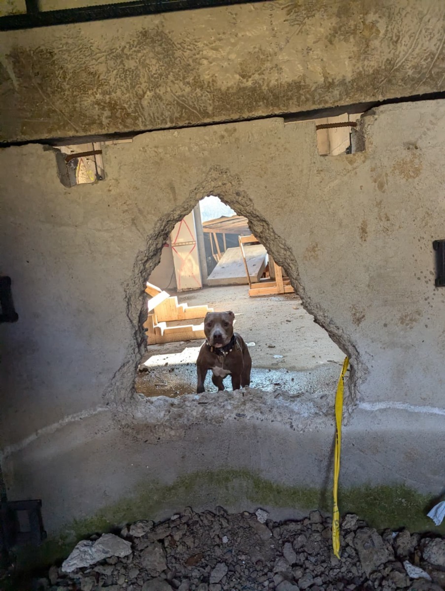 lady-azera-love-has-no-breed-beatrice-chirila (11)