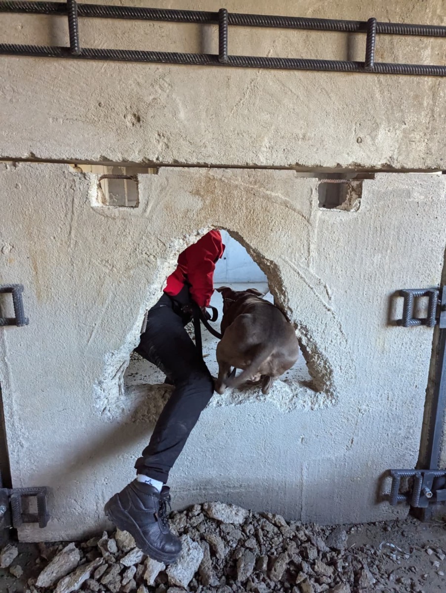 lady-azera-love-has-no-breed-beatrice-chirila (12)