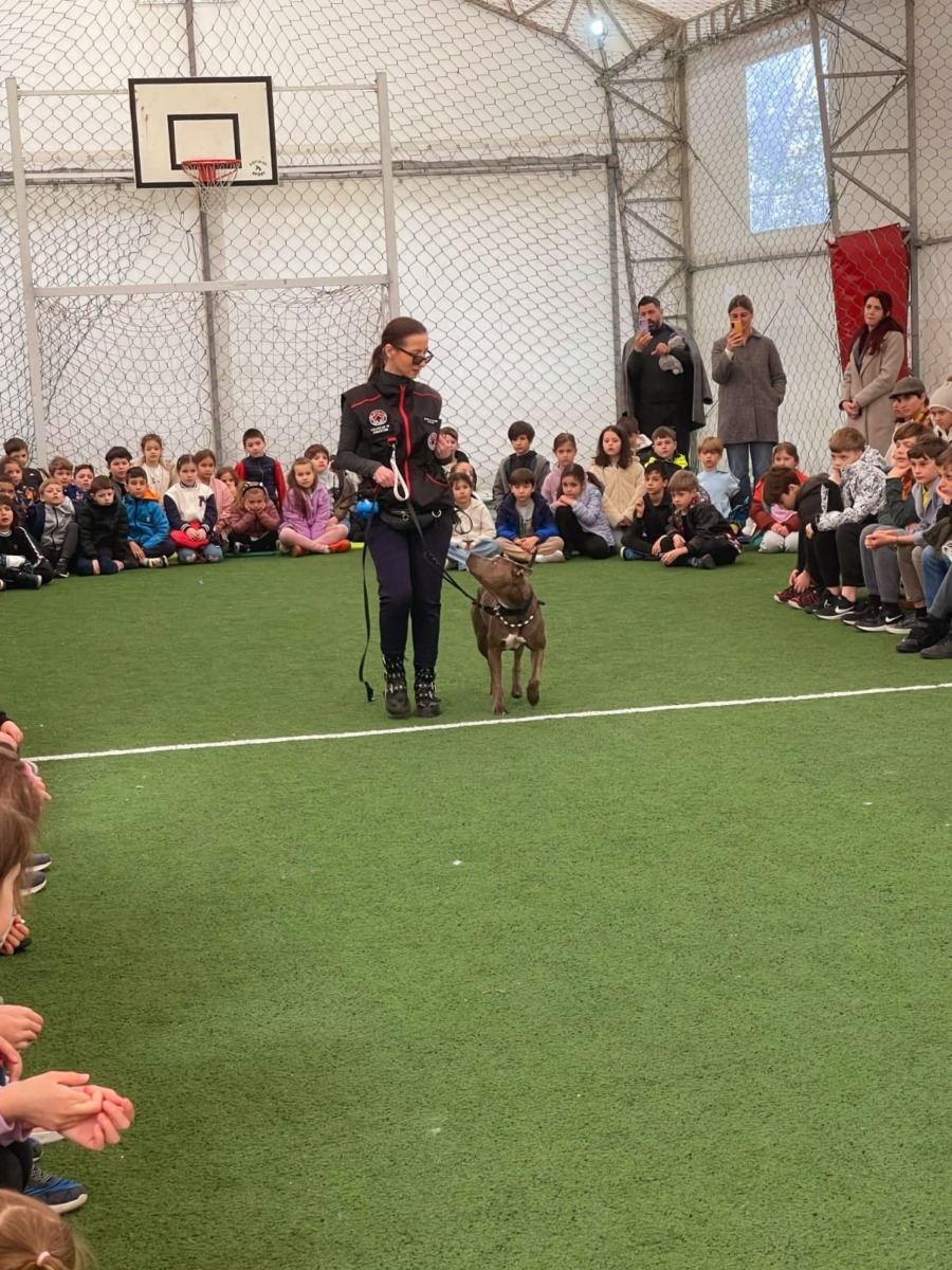 lady-azera-love-has-no-breed-beatrice-chirila (13)