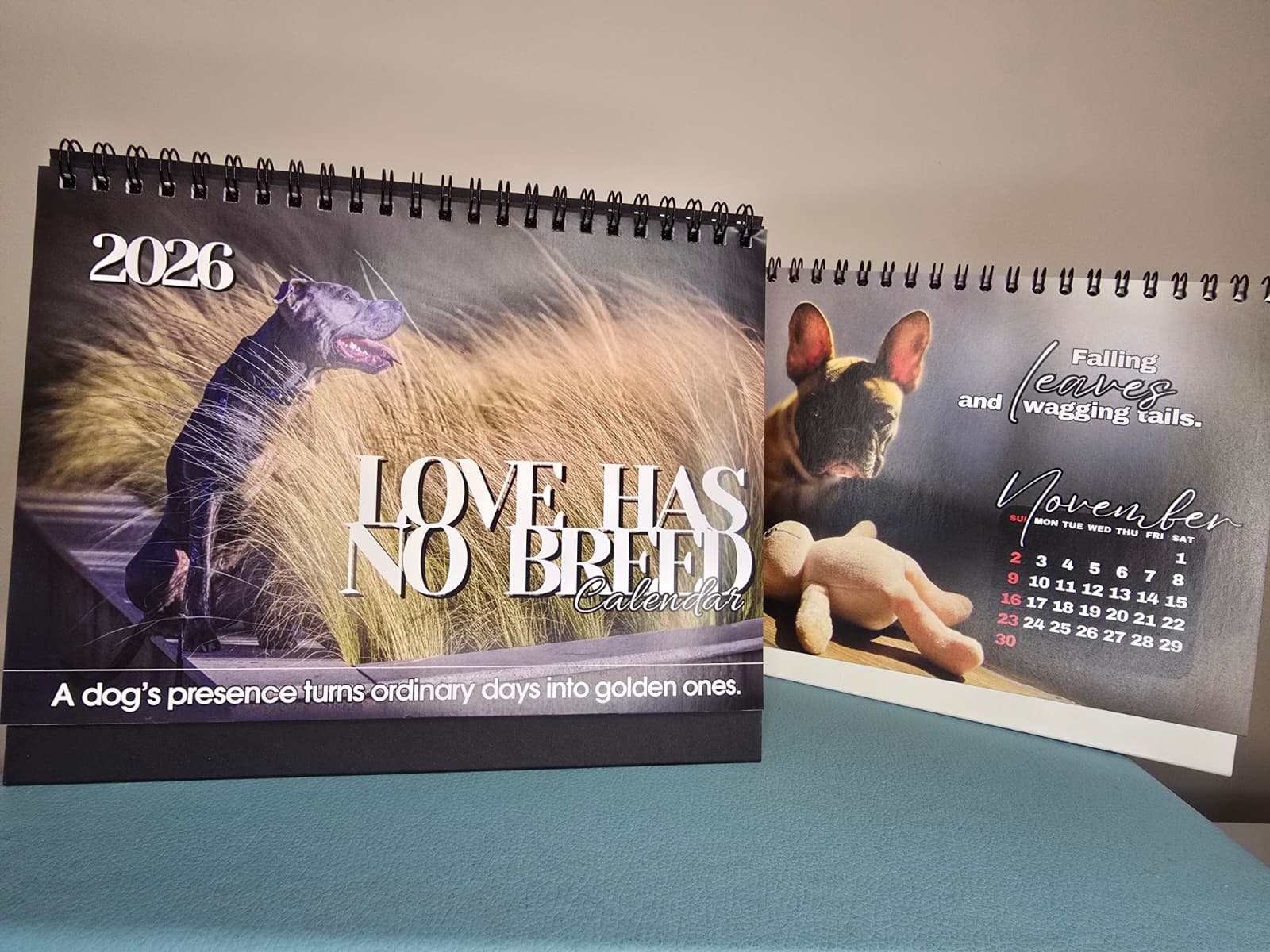 lady-azera-love-has-no-breed-beatrice-chirila (2)