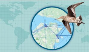 monitorizarea animalelor din spatiu