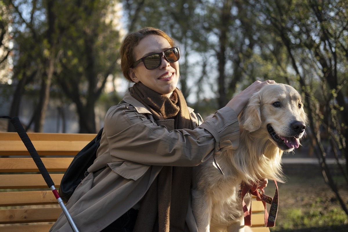 o-organizatie-caritabila-care-ajuta-stapanii-cu-dizabilitati-sa-isi-transforme-cainii-in-animale-de-asistența-face-apel-la-bunatatea-oamenilor-sa-doneze-bani