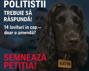 Afiș petiție cazul cățelușei Katy