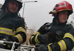 Doi pompieri din Bârlad salvează o pisică blocată la înălțime