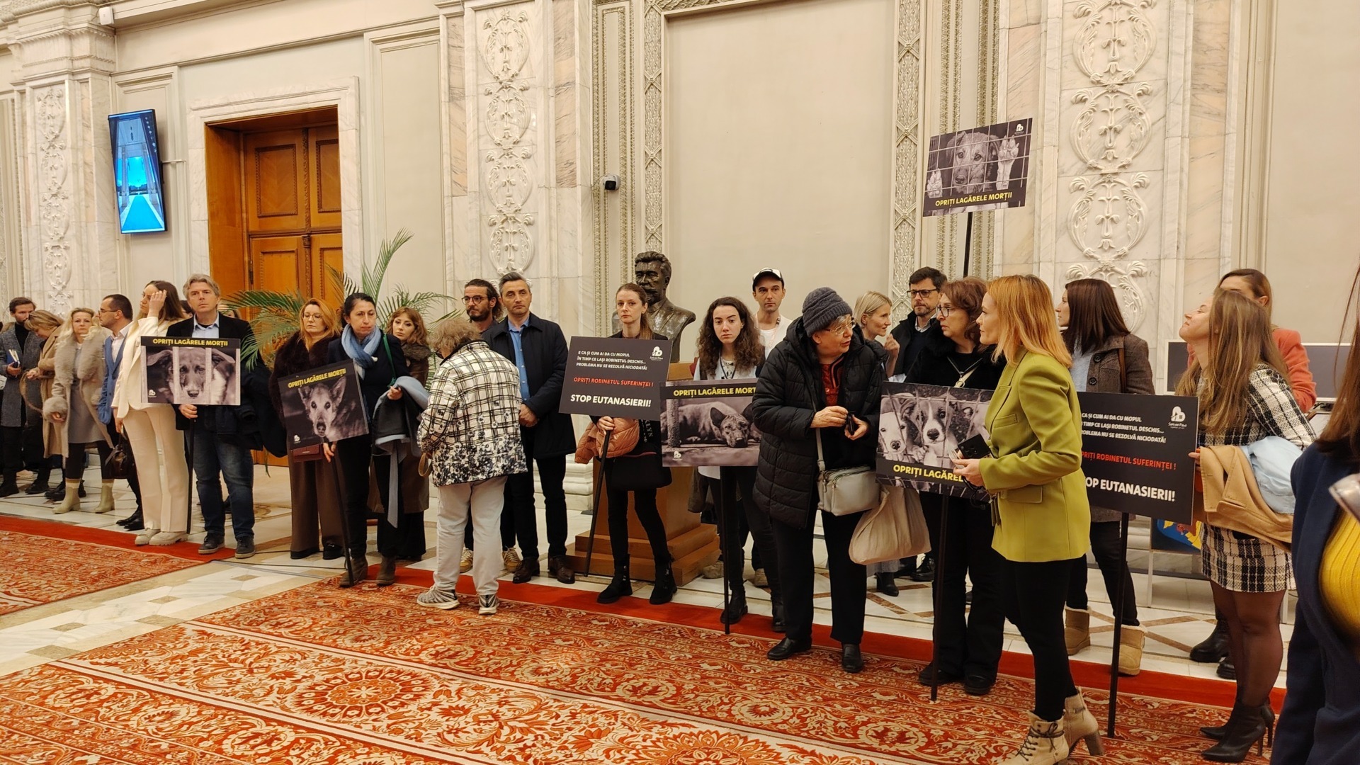 Protest în Parlamentul României pentru modificarea legii protecției animalelor