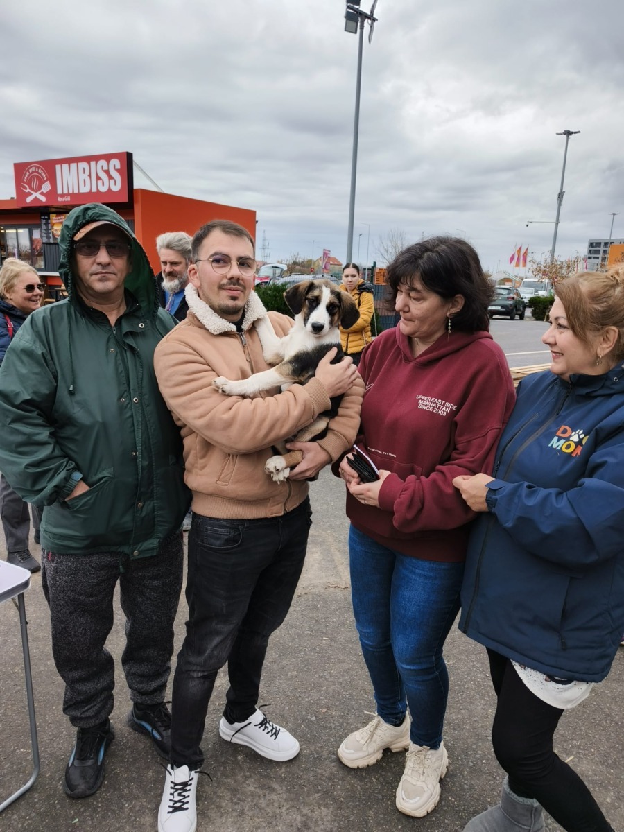 targ-de-adoptie-timisoara-happy-tails (1)