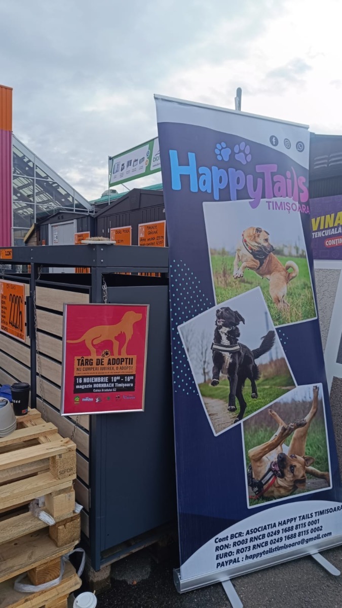 targ-de-adoptie-timisoara-happy-tails (2)