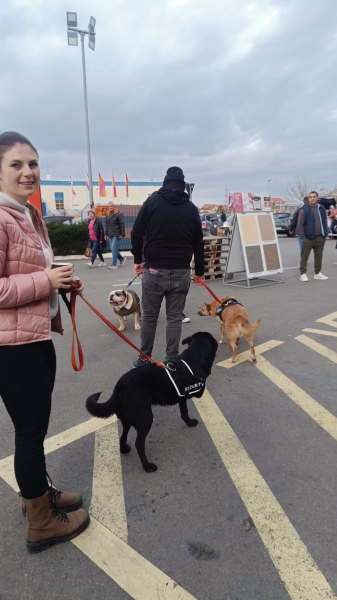 targ-de-adoptie-timisoara-happy-tails (3)