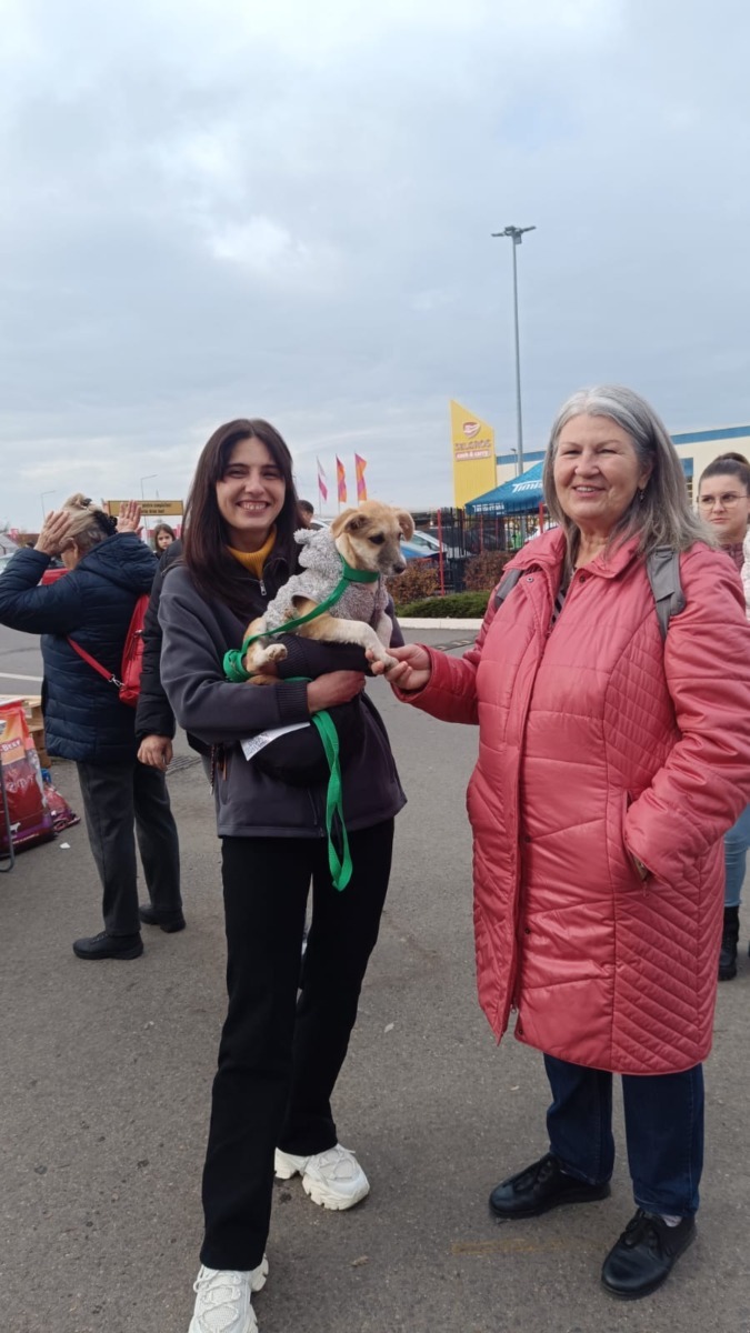 targ-de-adoptie-timisoara-happy-tails (4)