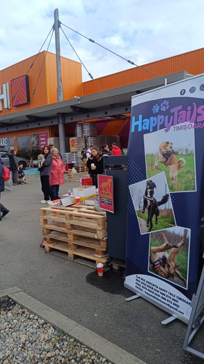 targ-de-adoptie-timisoara-happy-tails (6)