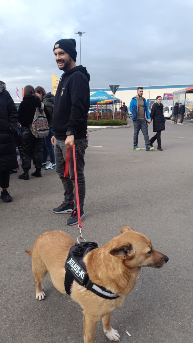 targ-de-adoptie-timisoara-happy-tails (9)