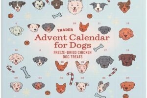 Calendar advent pentru caini trader joe s