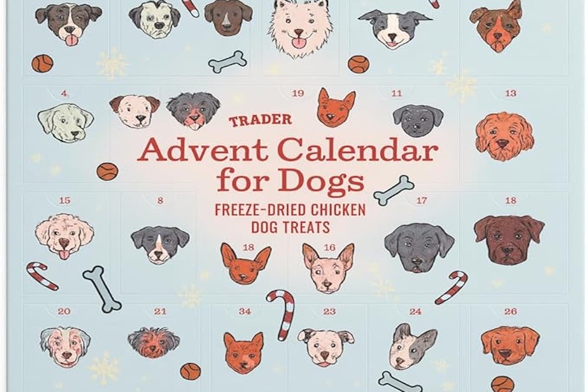 Calendar advent pentru caini trader joe s